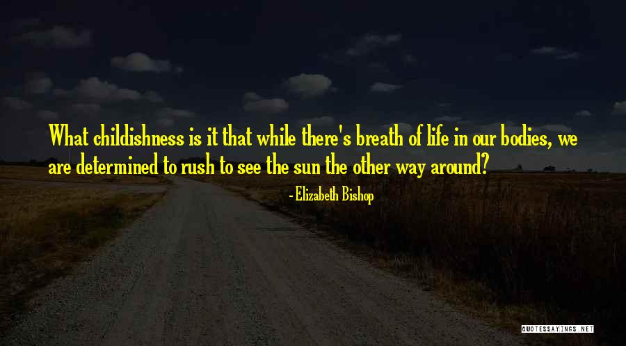 Teachers And Candles Quotes By Elizabeth Bishop Teachers And Candles Quotes By Elizabeth Bishop