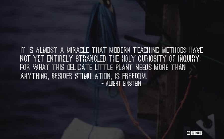 Teaching Albert Einstein Quotes By Albert Einstein