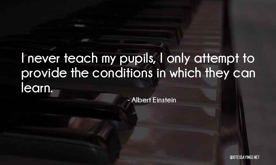 Teaching Albert Einstein Quotes By Albert Einstein