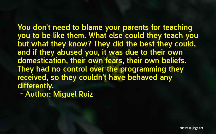 Teaching Beliefs Quotes By Miguel Ruiz