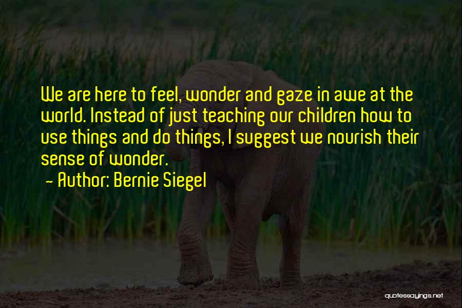 Teaching Children Quotes By Bernie Siegel