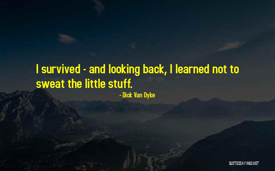 Teaching Kid Quotes By Dick Van Dyke