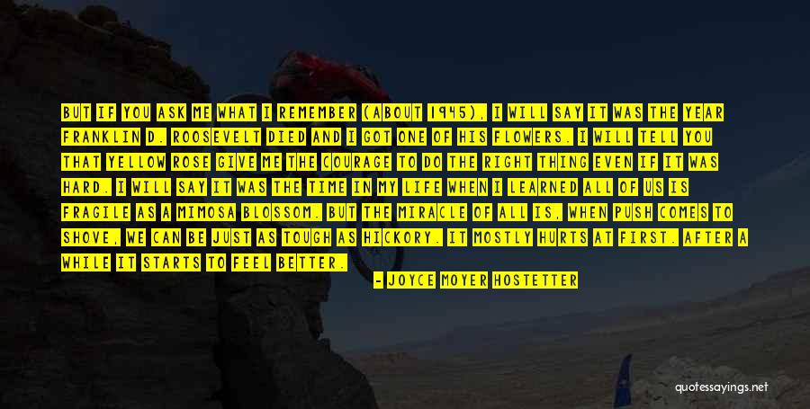 Teadar Quotes By Joyce Moyer Hostetter Teadar Quotes By Joyce Moyer Hostetter