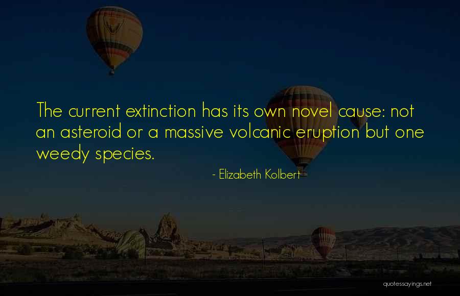 Tealeaf Technology Quotes By Elizabeth Kolbert Tealeaf Technology Quotes By Elizabeth Kolbert