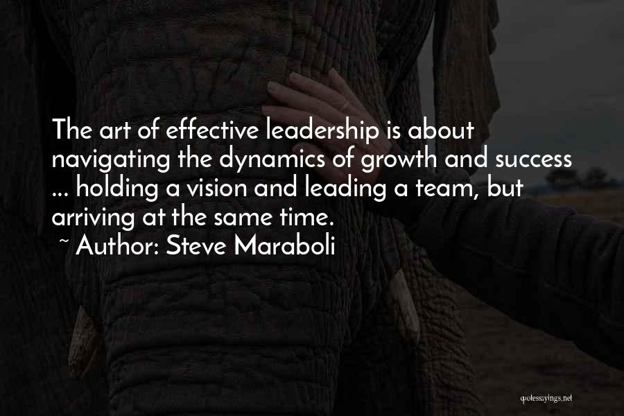 Team And Success Quotes By Steve Maraboli