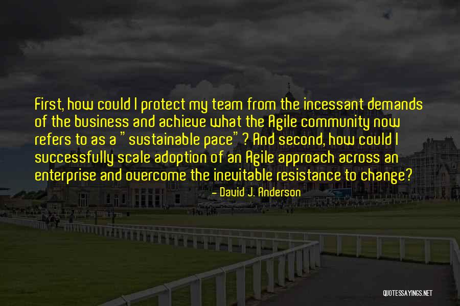 Team Approach Quotes By David J. Anderson