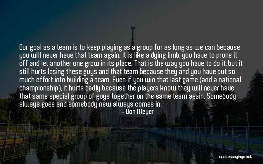 Team Building Quotes By Don Meyer