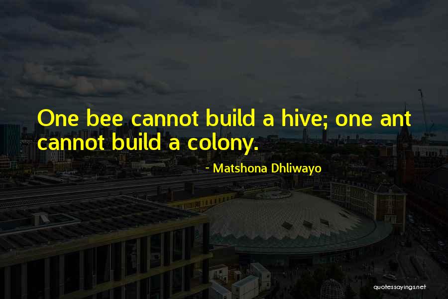 Team Building Quotes By Matshona Dhliwayo