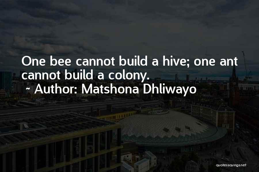 Team Building Success Quotes By Matshona Dhliwayo