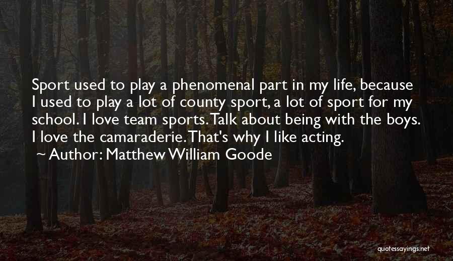 Team Camaraderie Quotes By Matthew William Goode