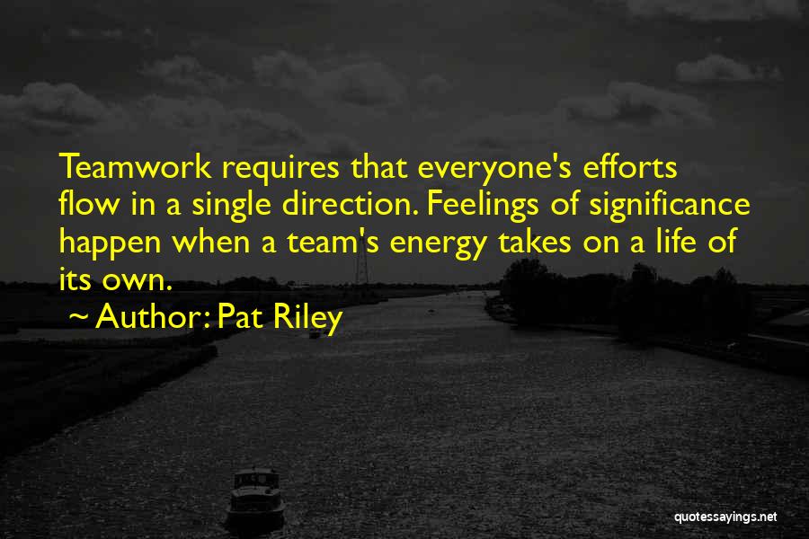 Team Efforts Quotes By Pat Riley