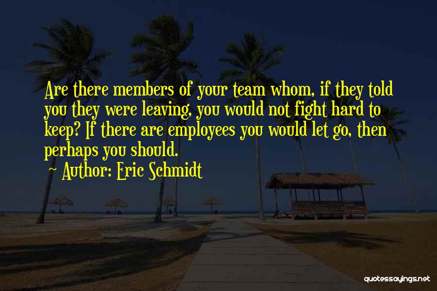 Team Fight Quotes By Eric Schmidt