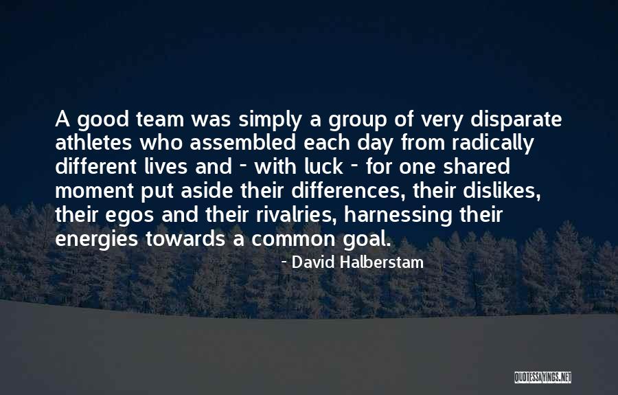 Team Goal Quotes By David Halberstam Team Goal Quotes By David Halberstam