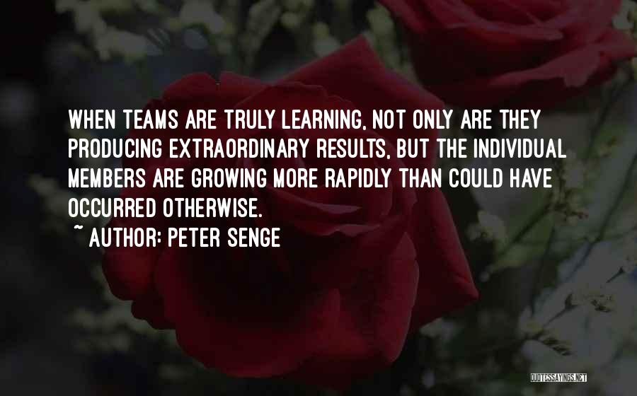 Team Members Quotes By Peter Senge