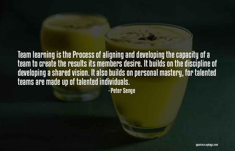 Team Members Quotes By Peter Senge