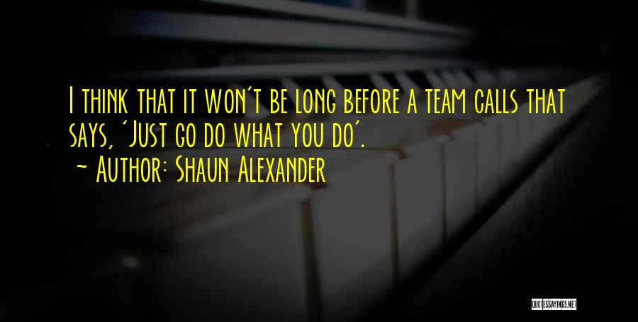 Team T-shirts Quotes By Shaun Alexander