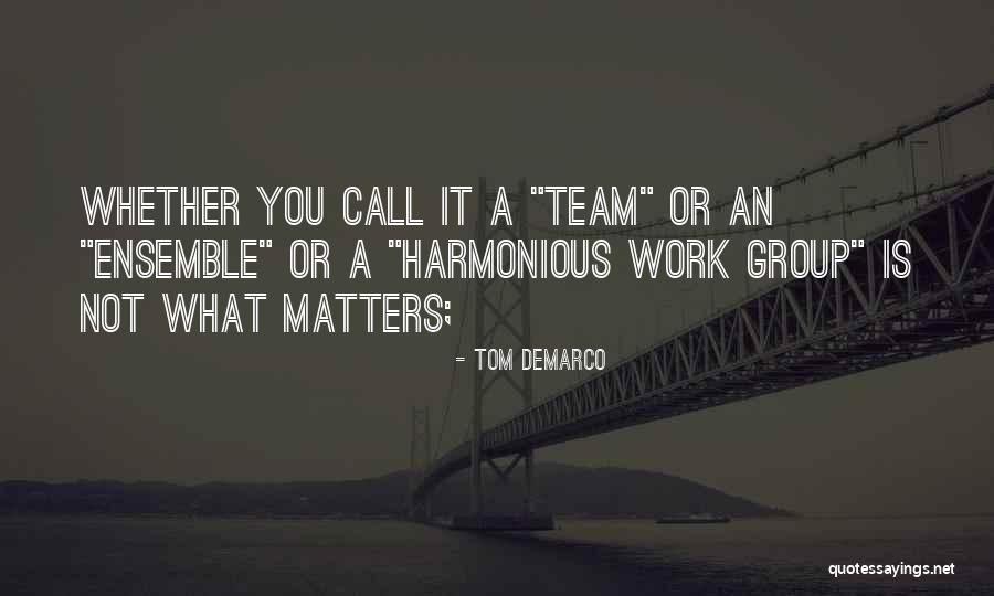 Team Work Is Quotes By Tom DeMarco Team Work Is Quotes By Tom DeMarco