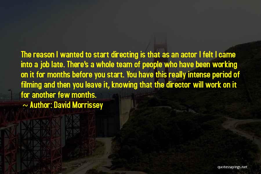 Team Working Quotes By David Morrissey