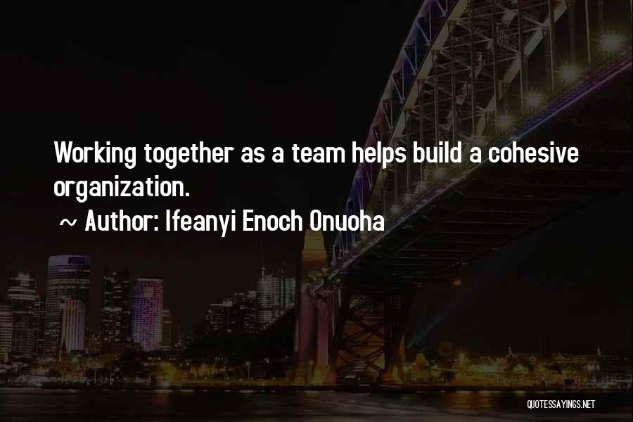 Team Working Quotes By Ifeanyi Enoch Onuoha