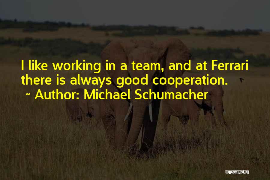 Team Working Quotes By Michael Schumacher