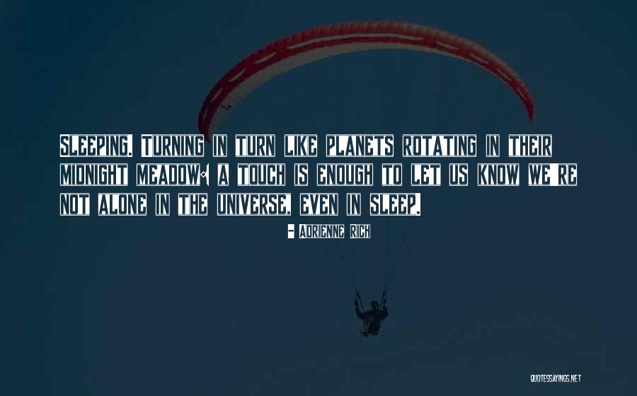 Teamcity Escape Quotes By Adrienne Rich Teamcity Escape Quotes By Adrienne Rich