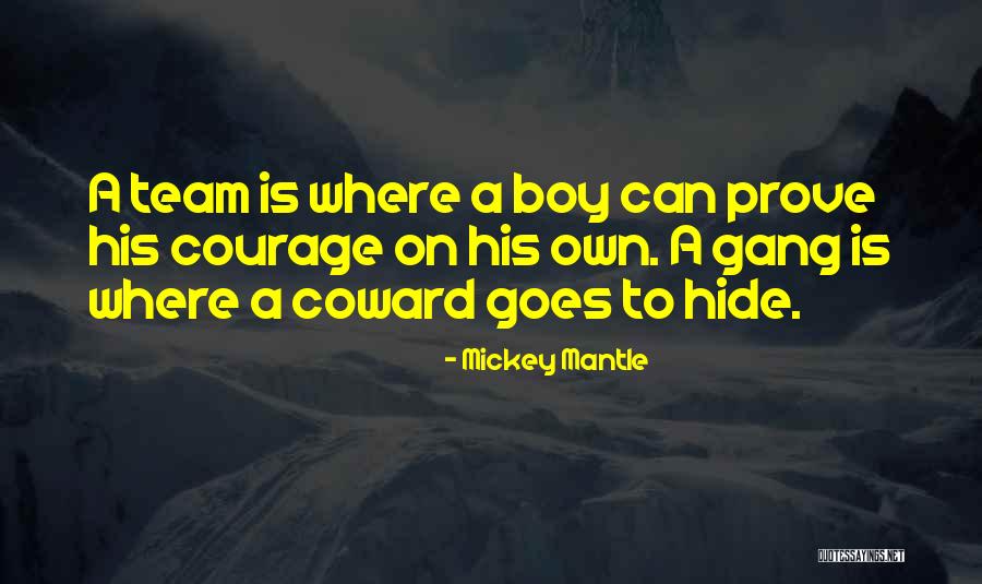 Teams And Groups Quotes By Mickey Mantle Teams And Groups Quotes By Mickey Mantle