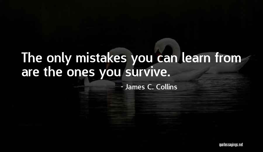 Teamwork And Family Quotes By James C. Collins
