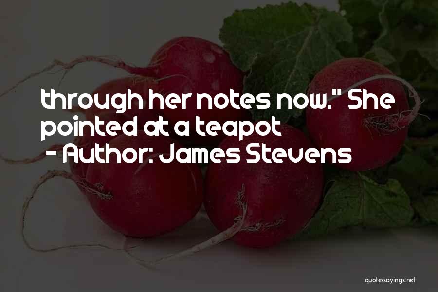 Teapot Quotes By James Stevens