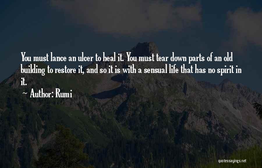 Tear Down Quotes By Rumi