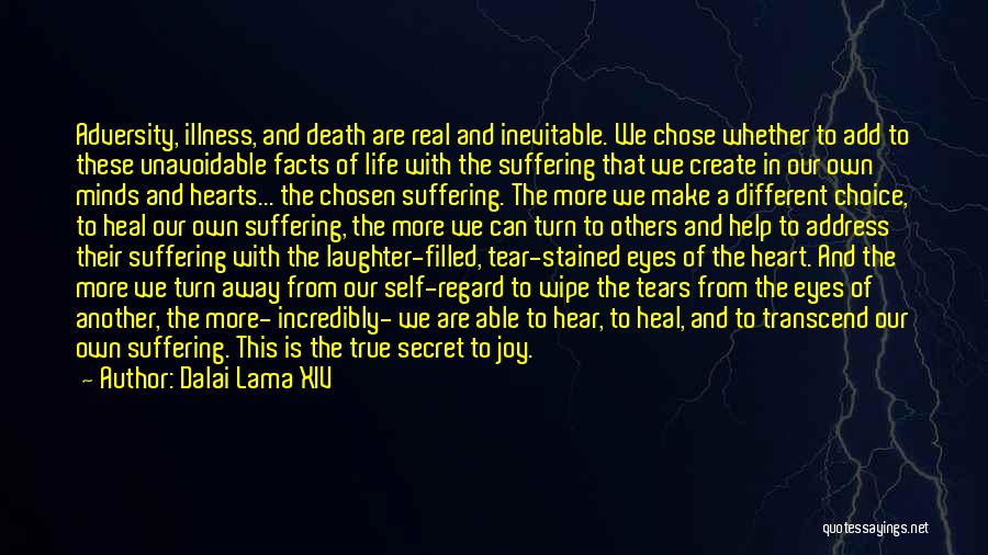 Tear Stained Eyes Quotes By Dalai Lama XIV