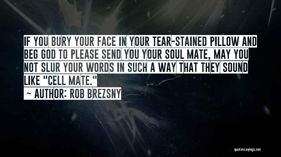 Tear Stained Pillow Quotes By Rob Brezsny