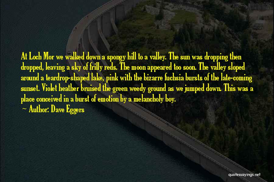 Teardrop Quotes By Dave Eggers