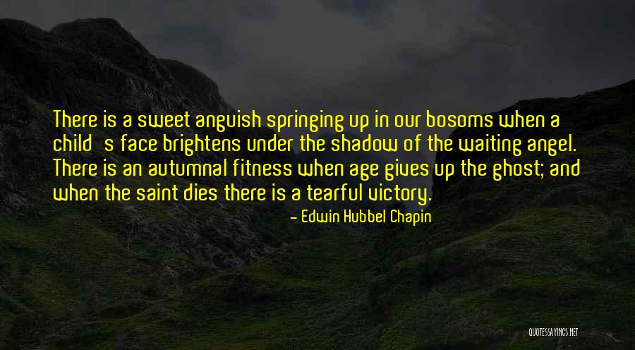 Tearful Quotes By Edwin Hubbel Chapin