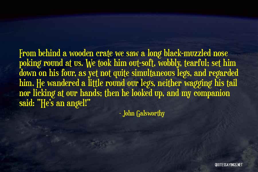 Tearful Quotes By John Galsworthy