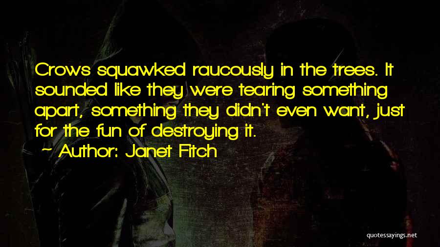 Tearing Apart Quotes By Janet Fitch