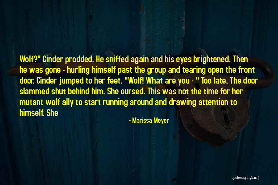 Tearing Eyes Quotes By Marissa Meyer