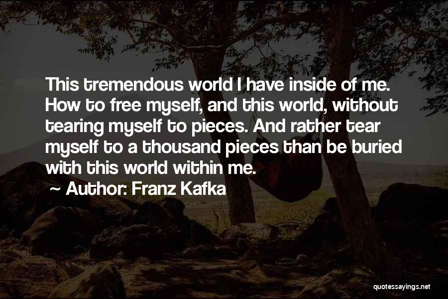 Tearing Me Up Inside Quotes By Franz Kafka