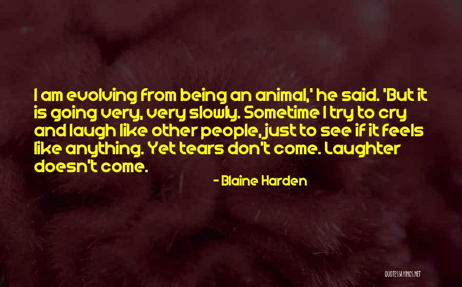 Tears And Laughter Quotes By Blaine Harden