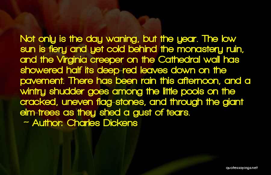 Tears And Rain Quotes By Charles Dickens