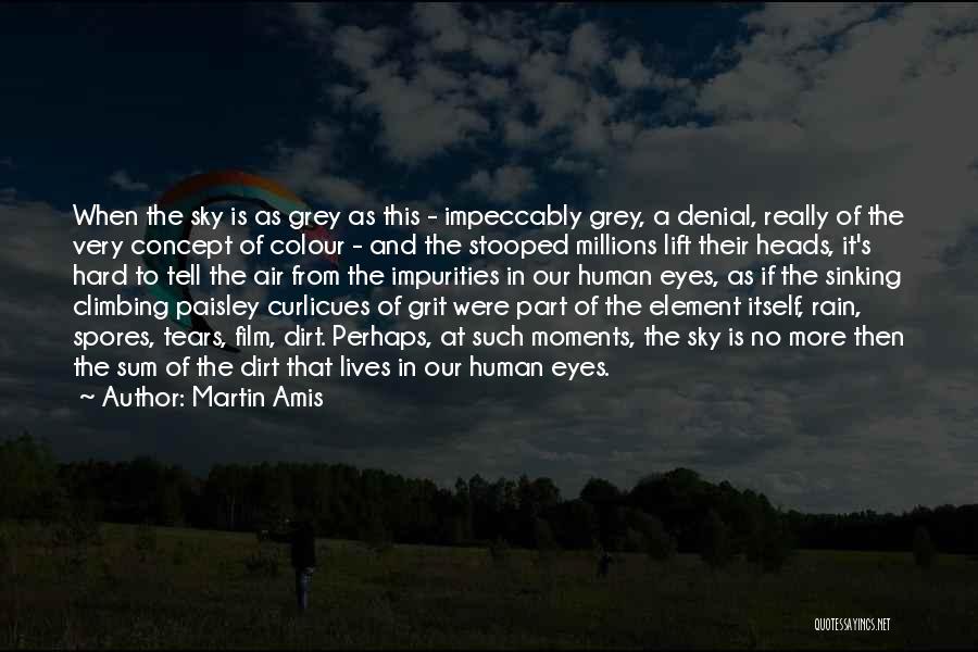 Tears And Rain Quotes By Martin Amis