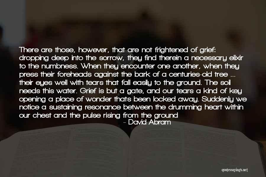Tears And Sorrow Quotes By David Abram Tears And Sorrow Quotes By David Abram
