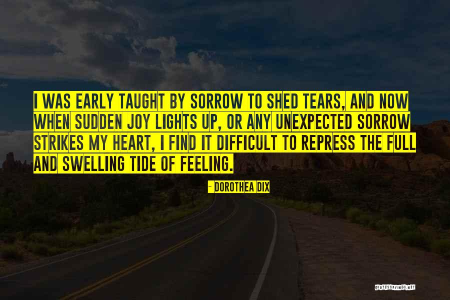 Tears And Sorrow Quotes By Dorothea Dix Tears And Sorrow Quotes By Dorothea Dix