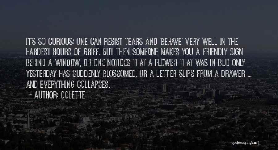 Tears Behind My Smile Quotes By Colette