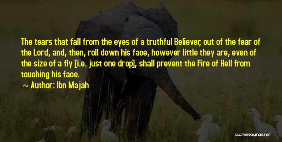 Tears Fall Down Quotes By Ibn Majah