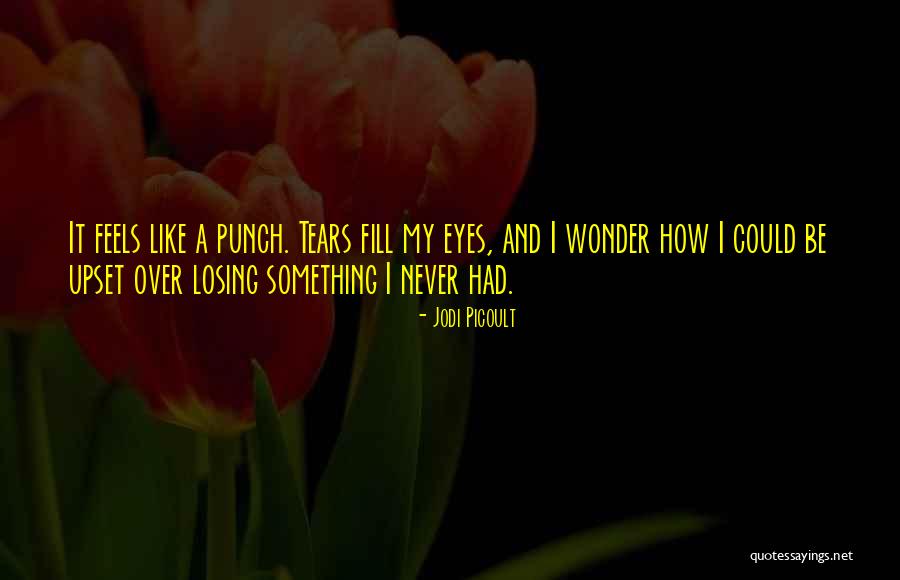 Tears Fill My Eyes Quotes By Jodi Picoult Tears Fill My Eyes Quotes By Jodi Picoult