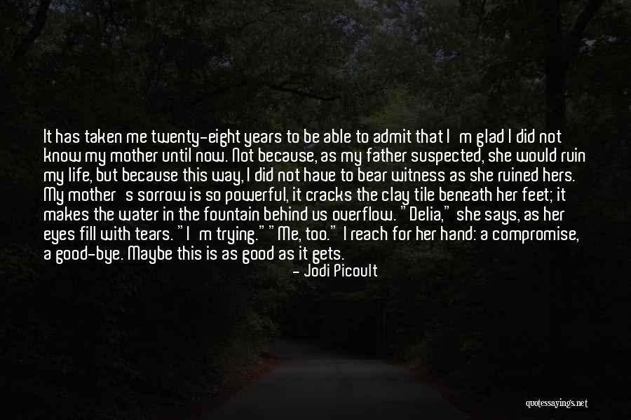 Tears Fill My Eyes Quotes By Jodi Picoult Tears Fill My Eyes Quotes By Jodi Picoult