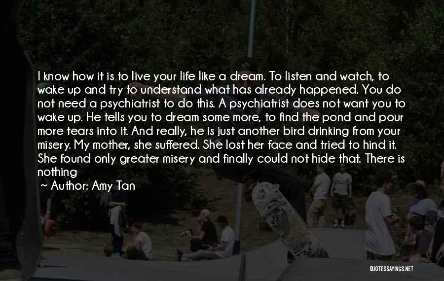 Tears Hide Quotes By Amy Tan