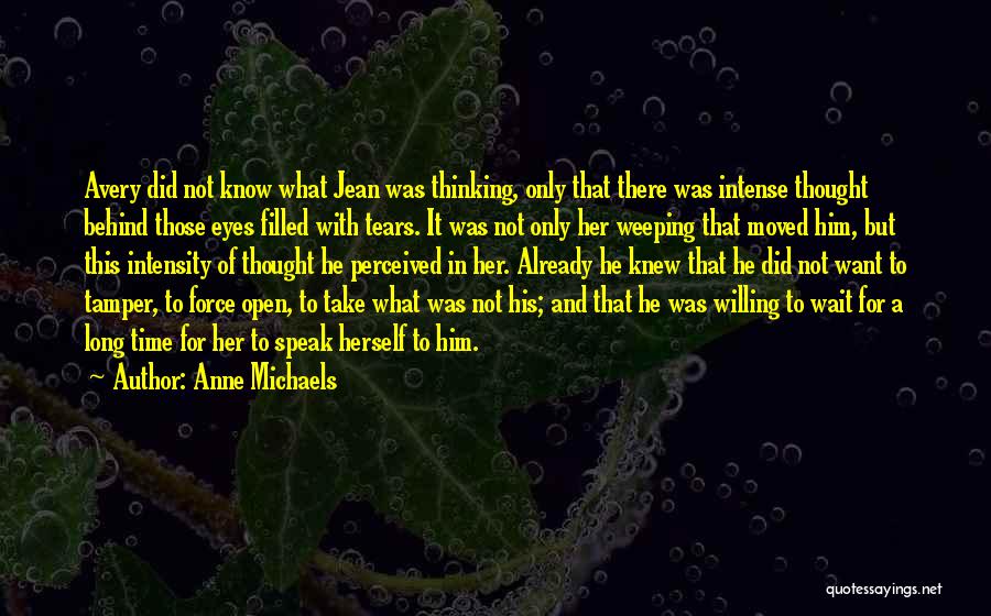 Tears In Her Eyes Quotes By Anne Michaels