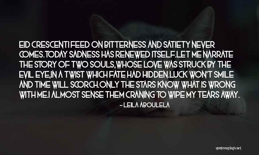 Tears In My Eye Quotes By Leila Aboulela
