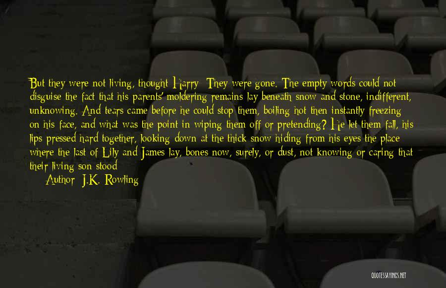 Tears In The Eyes Quotes By J.K. Rowling